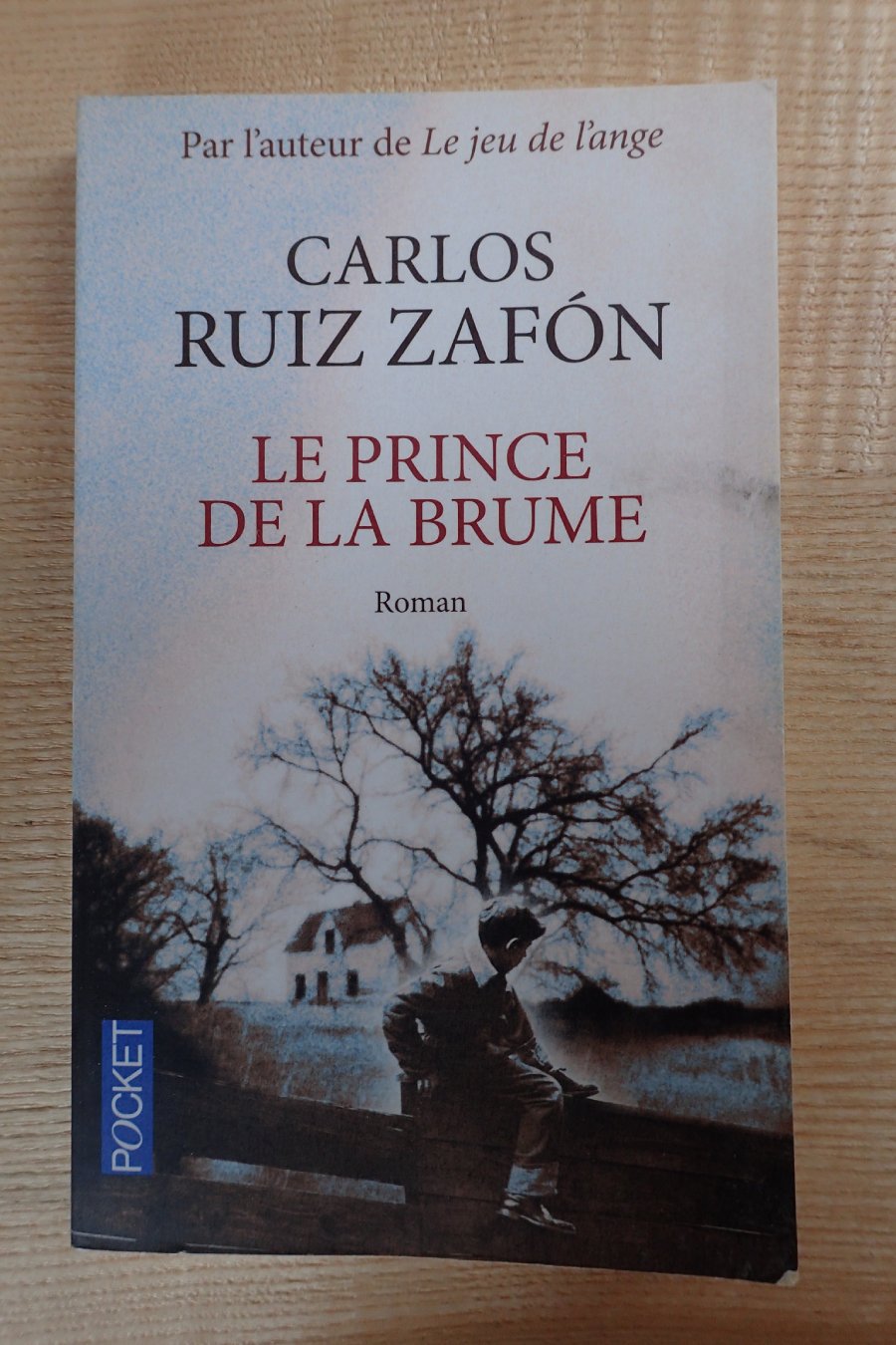 Le prince de la brume - Carlos Ruiz Zafon - Le refuge des livres
