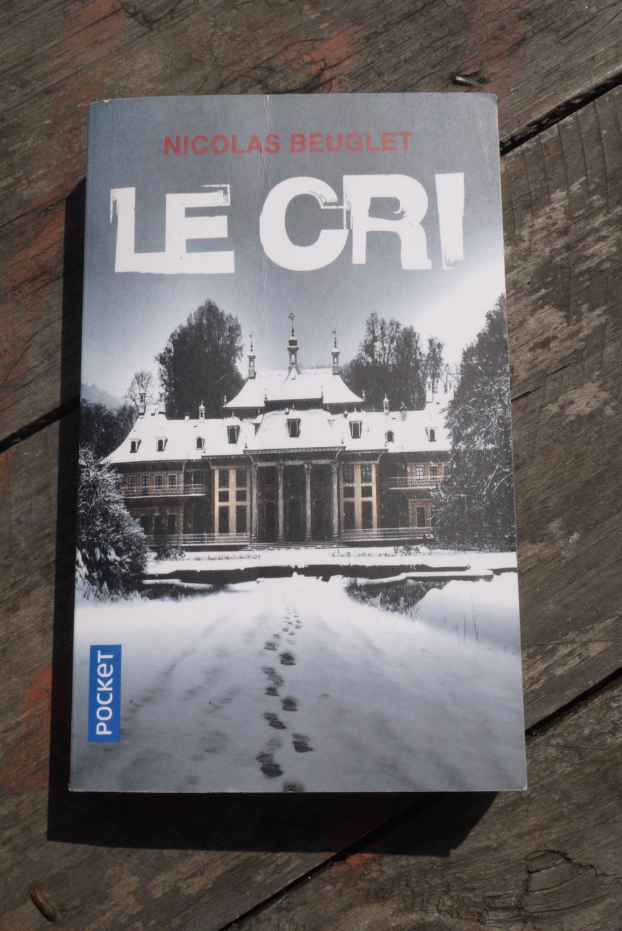 Le cri - Nicolas Beuglet - Le refuge des livres