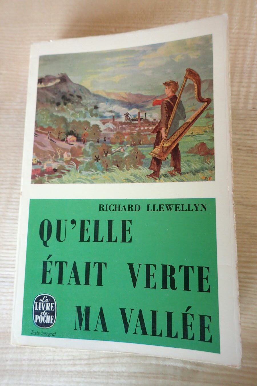 Qu'elle était verte ma vallée - Richard Llewellyn - Le refuge des livres - Livres d'occasion