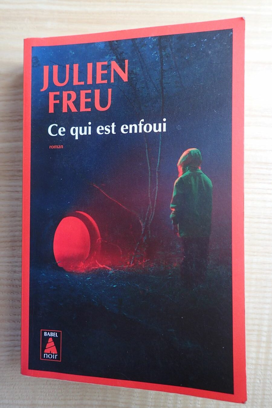 Ce qui est enfoui - Julien Freu - Le refuge des livres - Livres d'occasion