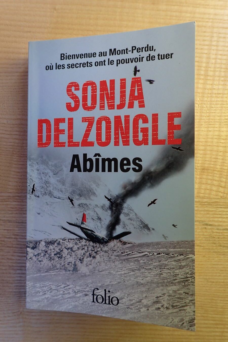 Abîmes - Sonja Delzongle - Le refuge des livres - Livres d'occasion